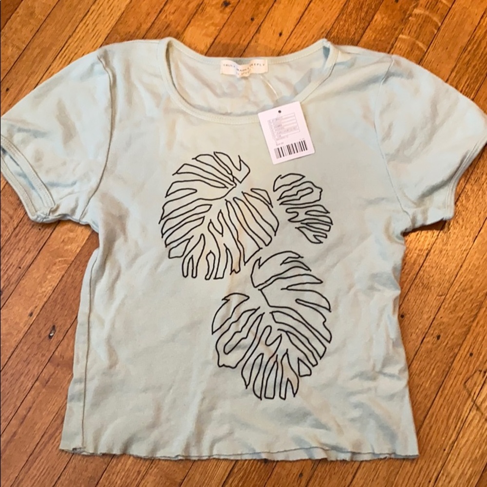 Urban Outfitters Cropped T (shipping not included)